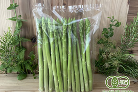 【Lサイズ】オーガニック サマーアスパラガス 500g