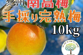 完熟　南高梅　１０kg