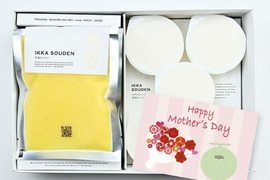 【母の日ギフト】マスクメロンのピューレ5袋と高知のバニラアイス5個