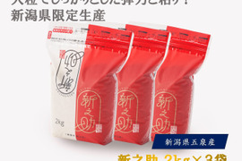 新之助の通販|お米|食べチョク|産地直送(産直)お取り寄せ通販 新之助の通販|お米|食べチョク|産地直送(産直)お取り寄せ通販