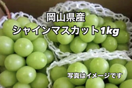 岡山県産　【クール便】シャインマスカット1kgご家庭用