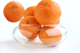 樹になったまま、色づいた　宮川早生みかん（無選別無階級 1.2級品こみこみ）　９K入り