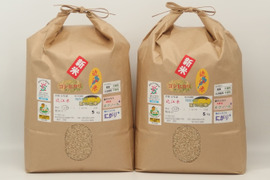 ✤令和4年産新米菜の花米✤玄米10kg☆近江米コシヒカリ☆農薬・化学肥料不使用