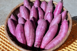 完熟❣大分県産　紅はるかs～Lサイズ１０Kg