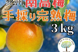 完熟　南高梅　３kg