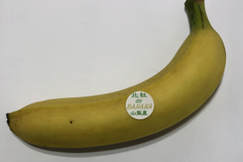 山梨県産バナナ〈1本〉　無農薬・無化学肥料　皮ごと食べられる国産バナナ！北杜deバナナができました