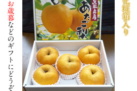 【冬ギフト】化粧箱入り！鳥取県産 あたご梨 約5kg