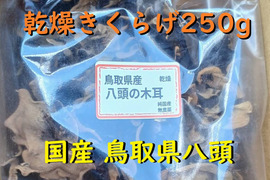 乾燥木耳＜250g＞鳥取県【国産】きくらげ