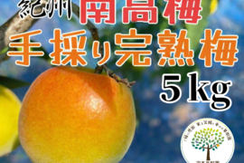 完熟　南高梅　５kg