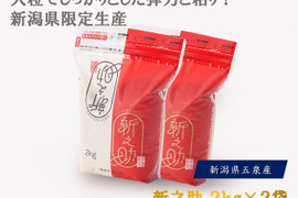 令和7年産！新之助２ｋｇ×２袋　精米