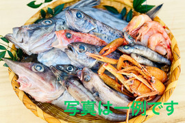 【9月先行予約】魚ガチャ！欲張って2袋！！届くまでワクワクするおかず【訳あり】