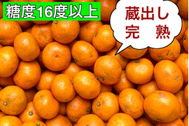 【樹上完熟】糖度17度以上の完熟プレミアム小玉ミカン  尾崎　3kg