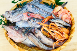 5月先行販売【ガチャ！】欲張って２袋！何が入っているかわからないおかず