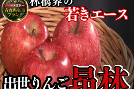 🍎若き出世頭りんご昂林🍎食べると早く出世する？！絶対王者ふじを担う若きエース～品種指定キャンペーンお得な大容量パッケージ～🍎高級秋ギフト🍎【家庭用・贈答用】【2026年10月下旬予約】