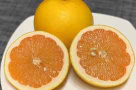 グレープフルーツ　ピンク系　3Ｋ　特別栽培　熊本不知火産