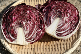 【今が旬‼︎】ほろ苦さがやみつきに⁉︎イタリア野菜トレビス2玉