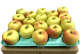 【予約販売】青森県産ぐんま名月💛家庭用約4.5Kg🍏　数量限定