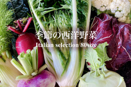 お料理の幅が広がる！季節の西洋野菜Italian selection 80サイズ