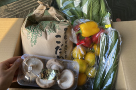 新米5キロと採りたて野菜5品セット（本州の方限定）