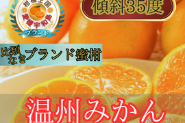 🍊不動の地位に君臨する温州みかん🍊崖上に実幻の宇和島ブランド温州みかんお得な大容量約3kg【11月中旬予約】
