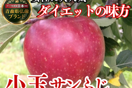 🍎日テレDayDay出演話題沸騰🍎女性に選ばれる食べる腸活“ちょうどいい『小玉サンふじ』お試し特価キャンペーン約11～13個