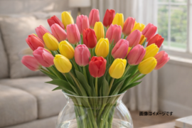 フラワーファームしろねのチューリップ　3色ミックス30本（赤系・黄色系・桃系） 　※北海道・沖縄県配送不可※