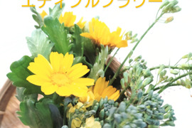 【まとめ買い用】エディブルフラワーの花束❀３種 約９束❀ 食用になる花束❀ブロッコリー、春菊、ルッコラの花束❀各３束ずつ（合計９束）