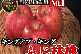 🍎世界に誇る日本のキングふじ🍎鉄板王道やみつきリピーター続出リンゴ～品種指定キャンペーン大容量パッケージ～【冬ギフト】【家庭用・贈答用】【1月中旬予約】