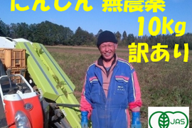 有機 JASにんじん 訳あり 10kgジュース用オーガニック生活 ダイエット効果にも最適/6月10日以降発送予定です