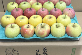 ★選べる４種★オールスター小玉🍎🍏💛💚家庭用約4.5Kg　食べ比べ　サンふじ　王林　シナノゴールド　ぐんま名月　青森県産　数量限定　４種の中から選べる　好きな数　好きな種類