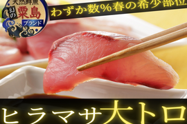 🐟わずか数％の春の極上大トロ🐟 海の貴族と称される天然ヒラマサの“シャトーブリアン”刺身＆しゃぶしゃぶ180g【数量限定】2026年4月上旬予約