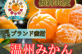🍊日テレ出演で話題沸騰🍊崖の上で実る幻の温州みかん希少な宇和島ブランドみかん☆お試しキャンペーン約1kg【冬ギフト】【11月中旬予約】
