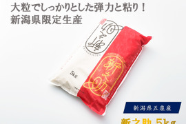 令和６年新米 予約受付中！　新之助５ｋｇ　精米