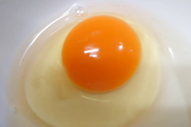 出荷日当日の朝採り新鮮お届け致します☆　平飼い濃厚卵　純国産種赤鶏あずさ［30個]＋割れ保証付き