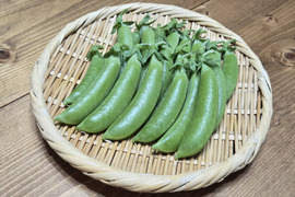【岐阜県産】シャキッと甘い！スナップえんどう200g×5袋