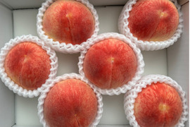 【家庭用】山梨県産桃　日川白鳳　5～8玉