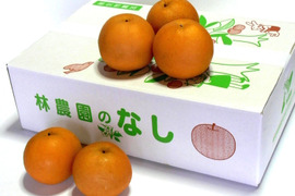 幸水梨（家庭用）　約5kg(18玉)　Ｌｻｲｽﾞ小ぶり