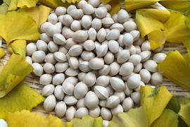 【値下げ】【ぎんなん 銀杏】500g 約150個 （栽培期間中農薬不使用）