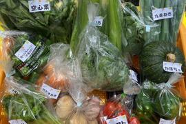 【今だけ】野菜増量🎁希少にんにく好き必見！ペペロンチーノも丸焼きも楽しめる新にんにく＆新鮮野菜セット🧄🥗🥕🥬