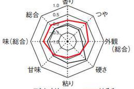 令和７年「はるみ」10Kg 　先着5名様限定　特別栽培米　冷めても美味しい