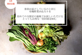 6月だけの数量限定販売！【初回限定BOX】大人気の有機野菜BOXを初回限定価格にてお試しいただけます！【有機JAS認証 有機野菜10品入り】初めての方に私たちの有機野菜のおいしさを知ってほしい！