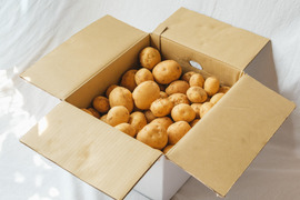 ほくほく甘い！屋久島の新じゃが〈ニシユタカ〉農家直送　10㎏