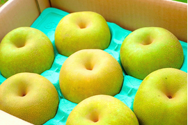 幸水｜晴れ箱3kg（6〜9玉）｜夏のご挨拶にそっと添える梨 ｜ 8月中旬順次発送予定【夏ギフト】【贈答向】