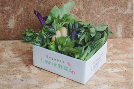【規格外増量】オーガニック野菜「シェフLセット」しあわせ野菜畑