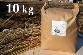 【令和5年産】農薬・化学肥料不使用　長野県産コシヒカリ【白米10kg】