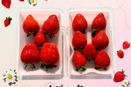 高糖度♡朝採れ直送🍓甘くてジューシー！【とちあいか】平パック4パック