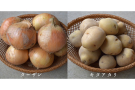 淡路島産🧅🥔セット✨約5kg
『玉ねぎ約4kg』と『新じゃがいも約1kg』📦✨