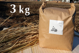 【令和5年産】農薬・化学肥料不使用　長野県産コシヒカリ【玄米3kg】