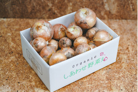 ＜有機たまねぎ 3kg＞農薬化学肥料不使用・静岡県産