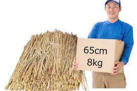 稲わら 藁 農家直売 わら 室内乾燥 長さ65cm 総重量8kg 藁焼き 肥料 園芸資材 家庭菜園 マルチング材